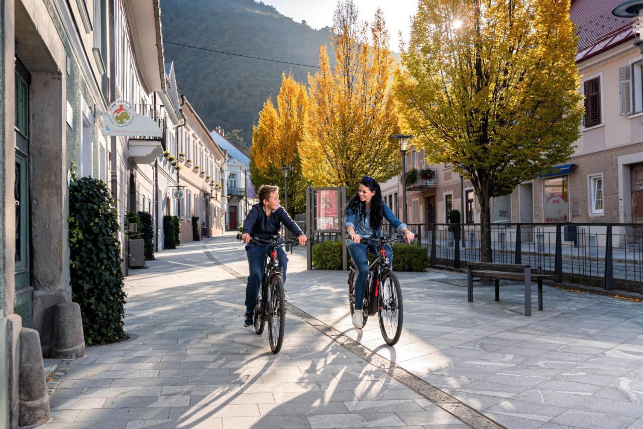 Dvorec Trebnik - Sobe Slovenske Konjice Buitenkant foto