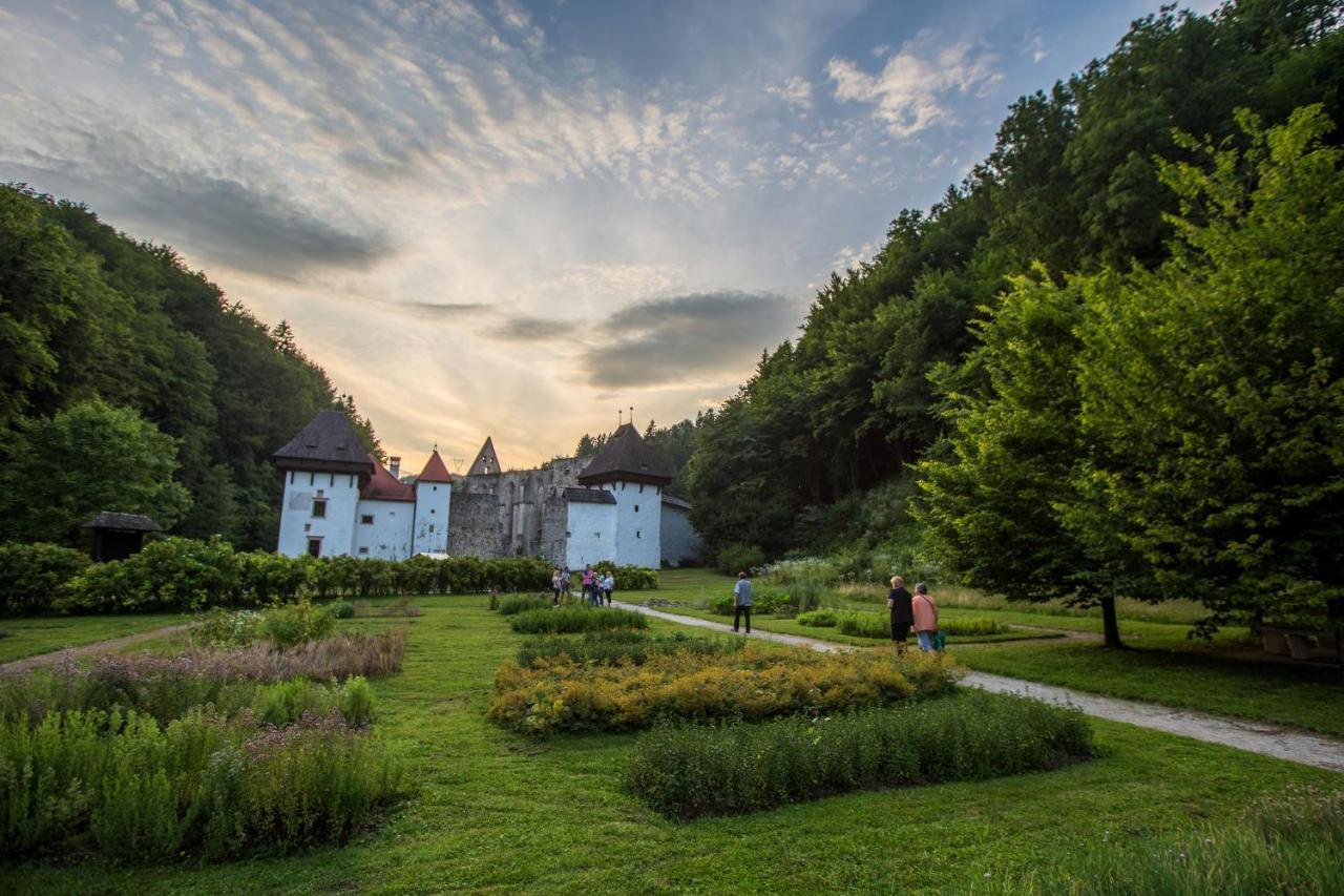 Dvorec Trebnik - Sobe Slovenske Konjice Buitenkant foto
